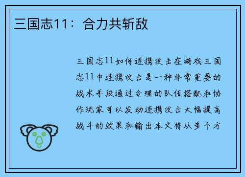 三国志11：合力共斩敌